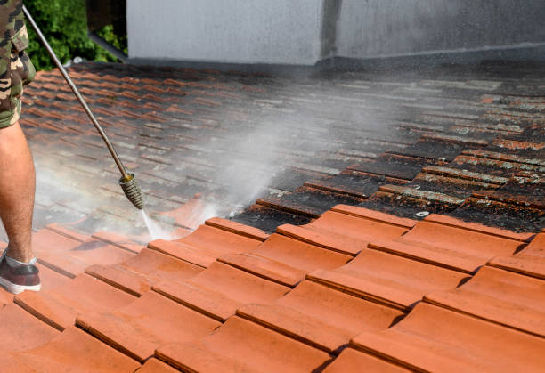 Best Sidewalk Pressure Washing  in Pistakee Highlands, IL