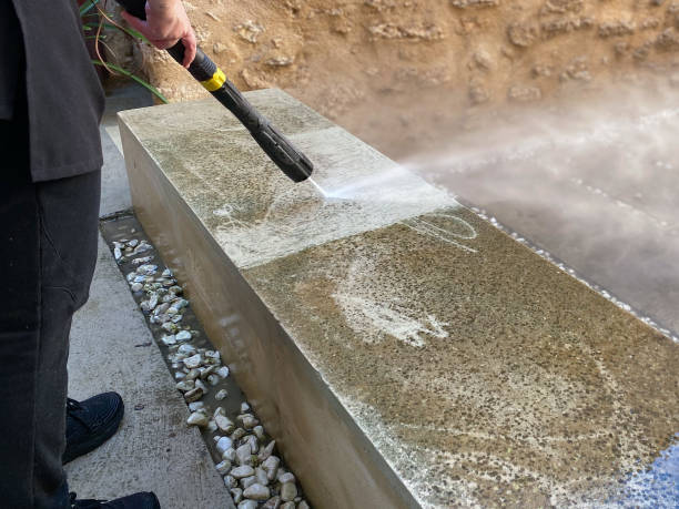 Best House Pressure Washing  in Pistakee Highlands, IL