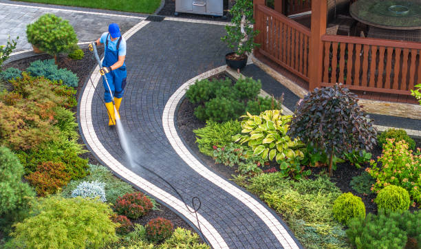 Best Pressure Washing Services Near Me  in Pistakee Highlands, IL
