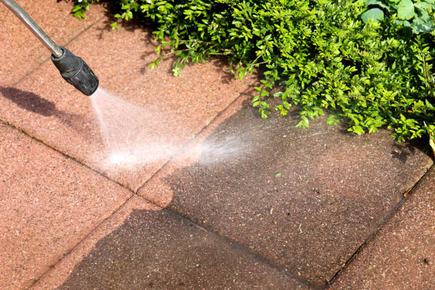 Best Concrete Pressure Washing  in Pistakee Highlands, IL