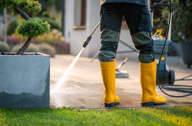 Best Pressure Washing Near Me  in Pistakee Highlands, IL